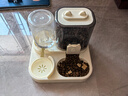 疯狂的主人猫粮自动喂食器饮水一体猫碗狗碗猫食盆猫咪猫盆宠物用品喝水双碗 实拍图
