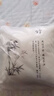 万燊中式抱枕靠垫套含芯梅兰竹菊客厅红木沙发靠枕书房茶室禅意靠垫 C款-竹 50x50cm(枕套+枕芯) 实拍图