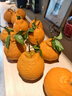 京觅四川春见耙耙柑 8斤 单果85mm+ 粑粑柑柑橘生鲜水果源头直发 实拍图