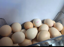 京鲜生可生食标准鲜鸡蛋30枚礼盒装3斤 源头直发 实拍图