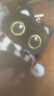 黑猫玩偶毛绒公仔挂件ins可爱猫咪包包挂饰情侣礼物送女朋友礼物 黑白围巾+黑猫【送黑色珠珠链】 会吱吱叫【10厘米左右】 实拍图