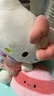 Hello Kitty三丽鸥毛绒玩具玩偶布娃娃抱枕生日新年礼物礼品女30cm凯蒂猫公仔 实拍图