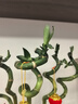 【带根富贵竹转运竹龙竹】招财水培植物客厅弯竹开运竹子盆栽花卉 50-55cm转运竹--6支送3灯笼 实拍图