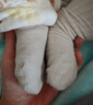 尼多熊婴儿长筒袜子春秋透气宝宝新生儿过膝护腿袜儿童袜子 实拍图
