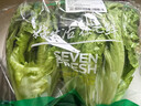 钟灵山罗马生菜400g 实拍图