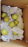 京鲜生 新疆库尔勒香梨 净重8斤 单果100-120g 生鲜水果 礼盒装 实拍图