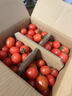 京喜加夏日阳光小番茄黄色迷恋圣女果即食水果小柿子现摘现发减肥 黄色圣女果五斤装 实拍图