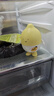 京东京造 可爱柠檬除味器 冰箱除味杀菌除臭剂盒保鲜神器【40天续航】 实拍图