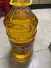 鲁花 食用油  物理压榨  非转基因 玉米油6.18L   实拍图