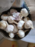 【百万单爆品】紫白皮蒜水果大蒜超市生鲜蔬菜调料即食蒜 【优选】 1斤 单果3.5-5cm 实拍图