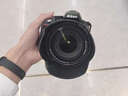 尼康\/Nikon D3200 D3400 D5300 D5600二手单反相机入门级半画幅高清旅游 尼康D5300 尼康18-55镜头【满足日常拍摄】 99成新 实拍图