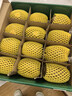 佳沛（zespri）意大利 阳光金奇异果12粒年货礼盒特大果单果约122-146g 猕猴桃 实拍图