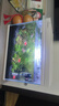 森森 超白玻璃小鱼缸HWK-600P裸缸款水草缸金鱼缸小型水族箱水草缸  实拍图