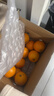 京鲜生 云南哀牢山冰糖橙/橙子 5斤装 单果130g-170g 生鲜水果年货礼盒 实拍图