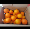 正宗赣南早脐橙整箱新鲜早橙子赣州产地直发超甜皮薄多汁水果礼盒 净重9斤果王橙（单个250g以上） 实拍图