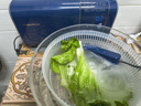 摩飞电器（Morphyrichards） 果蔬清洗机净化器洗菜消毒神器蔬菜净化器洗菜机水果清洗食材净化机农药残留清洗机 MR2061 轻奢蓝 实拍图