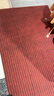 柏能条纹入户地垫门口红地毯入户门脚垫进户门口地垫可裁剪120x180cm 实拍图