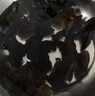 富昌东北黑木耳500g 肉厚无根 山珍特产干货菌菇凉拌火锅年货食材 实拍图