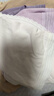 全棉时代女士内裤纯棉性感内裤女蕾丝三角裤 深绛紫+风铃紫+轻粉紫 165 实拍图
