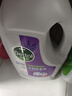滴露（Dettol）衣物除菌液薰衣草3L 99.9%杀菌除螨 内衣衣物消毒液 可配洗衣液 实拍图