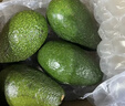 鲜青录秘鲁进口牛油果鳄梨奶油酷热带新鲜宝宝孕妇水果 600g尝鲜【6个中果 单果100-140g 实拍图