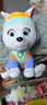汪汪队立大功（PAW PATROL）毛绒玩具狗狗陪睡玩偶经典款珠珠中号坐姿可爱公仔男女孩生日礼物 实拍图
