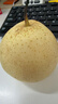 京鲜生 长城晋州鸭梨 地标产品 净重10斤 单果200g+ 生鲜水果礼盒 实拍图