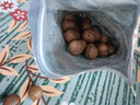 三只松鼠夏威夷果500g/袋 坚果炒货干果约24-26mm大果休闲零食送礼  实拍图
