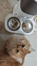 霍曼（Homerun）宠物智能自动喂食器猫粮定时猫咪自动投食机不锈钢双碗增高版 实拍图