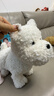 babycare&bct儿童毛绒玩具狗电子宠物哈基米玩偶节日生日新年礼物西高地犬 实拍图