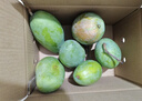 京鲜生杨枝甘露大青芒 巨无霸果4.5斤装 单果500g起 生鲜水果源头直发 实拍图