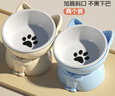 憨憨乐园猫碗陶瓷猫粮双碗斜口狗碗狗盆狗粮宠物幼猫咪吃饭食盆喝水喂食 实拍图