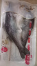 深海七星三去开背免洗海鲈鱼空保鲜活鱼新鲜速冻冷冻清蒸高营养 500克-600克 开背海鲈鱼5条【条条精选】爱吃鱼首选 实拍图