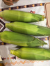 佳农宝菜浙江新鲜带绿皮白甜玉米净重3.8斤牛奶爆浆玉米5-8根源头直发 实拍图