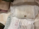 babycare金山茶花拉拉裤XXL30片(>15kg)婴儿尿不湿超薄透气新生柔花苞裤 实拍图