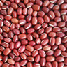 硃碌科 有机红芸豆3斤 红菜豆饭豆 豆沙原料 东北杂粮豆光滑饱满 实拍图