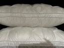 MGXEK【德国】枕头羽丝绒枕五星级酒店护颈枕希尔顿酒店同款深度睡眠枕 银灰色低枕【48*74cm】 一对 皇家标准 柔软亲肤 呵护睡眠 【全网热销100W+】回购率98%颈椎病睡眠专用 实拍图