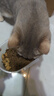 麦富迪猫粮 barf霸弗天然猫粮冻干幼猫粮高蛋白温和养护肠胃牛肉7.2kg 实拍图