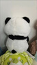 蜜乐糖（miletang）毛绒玩具香墩墩系列公仔熊猫兔子玩偶桌伴摆件儿童节日礼物熊猫 实拍图