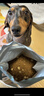 伯纳天纯生鲜1.0鸭肉梨狗粮小型犬中大型犬幼犬成犬全价通用犬粮24斤/12kg 实拍图