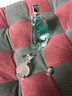 安娜苏（Anna sui） 许愿精灵女士淡香水可爱俏皮 礼物 许愿精灵50ml 实拍图