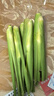 【现采现发】浙江新鲜茭白时令蔬菜带壳茭白高笋应季美食自种包邮 现采带壳茭白0.8-1斤 净重 实拍图