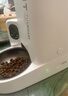 小佩宠物AI智能自动喂食器可视版 定时定量 视频监控(支持鸿蒙智联) 实拍图