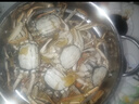 【活蟹】漁家师傅大闸蟹公5-5.3两母4-4.3两4对8只 鲜活螃蟹现货生鲜年货礼盒 源头直发 实拍图
