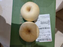 山东烟台黄金奶油富士苹果脆甜冰糖心很像维纳斯苹果 带箱2斤 实拍图