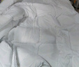 富安娜 舒暖 纤维被子冬季被芯 双人磨毛冬厚被 约7斤 230*229cm 白色 实拍图