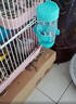 派乐特 仓鼠水壶仓鼠饮水器喝水器龙猫滚珠荷兰猪豚鼠兔子用品喂水器 实拍图