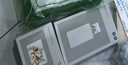 小米【新品】米家口袋照片打印机 Pro AR视频照片 拍立得 随身拍 高清打印 便捷易用 快速出片 实拍图