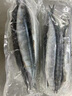 深海秋刀鱼 新鲜海捕船冻锁鲜无冰日式料理海鲜烧烤食材 生鲜鱼类 海捕秋刀鱼1斤（5-7条/斤） 实拍图