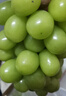 京鲜生 阳光玫瑰葡萄 青提4-4.5斤年货礼盒装 单果约10g 生鲜水果 实拍图